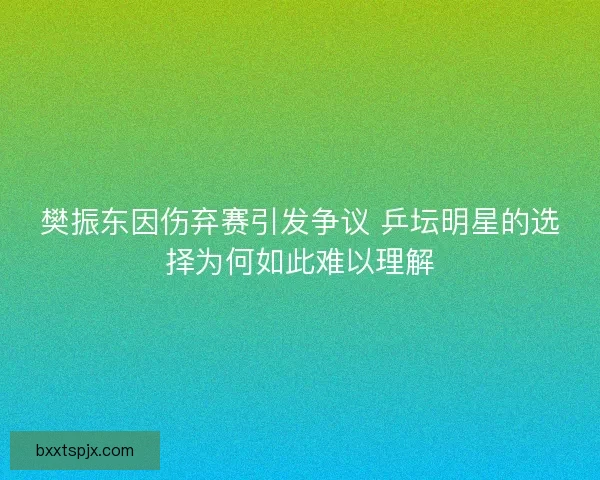 樊振东因伤弃赛引发争议 乒坛明星的选择为何如此难以理解